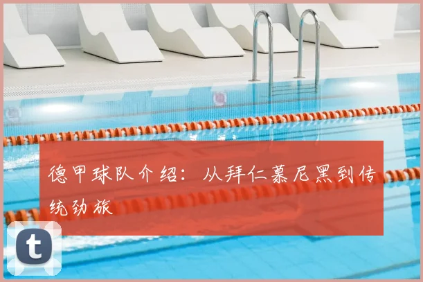 德甲球队介绍：从拜仁慕尼黑到传统劲旅