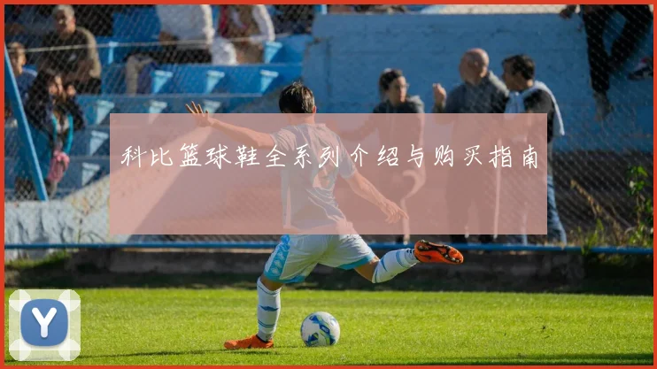 科比篮球鞋全系列介绍与购买指南